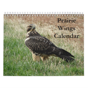 C7 Calendrier des ailes des Prairies