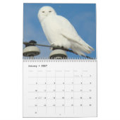 C7 Prairie Wings Kalender (Jan 2027)