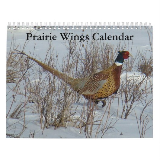 C8 Prairie Wings Kalender (Hoes)
