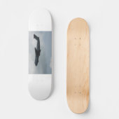 C-5 Galaxy Skateboard (Voorkant)