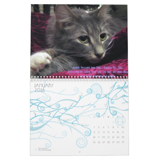 C.A.T.S. Agenda 2009 Kalender (Jan 2026)