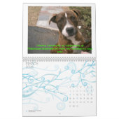 C.A.T.S. Calendrier 2009 (Mar 2026)