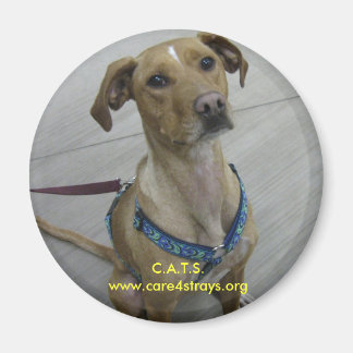C.A.T.S. Magneet