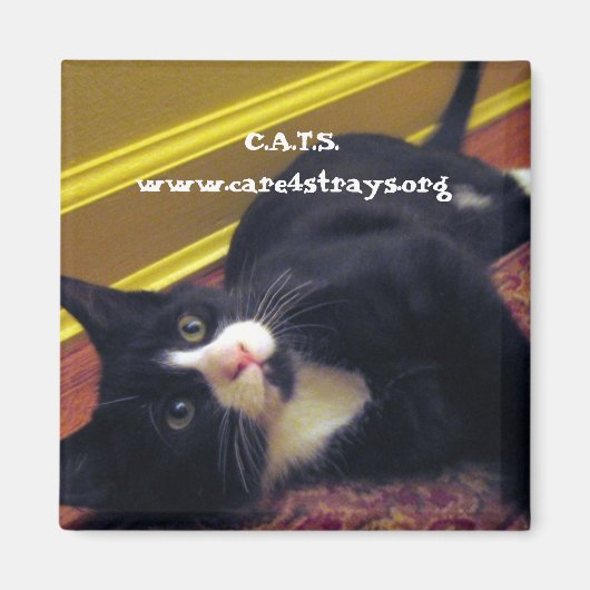 C.A.T.S. magneet: Magneet (Voorkant)