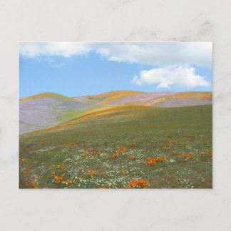 C de Lente Lndscp Briefkaart