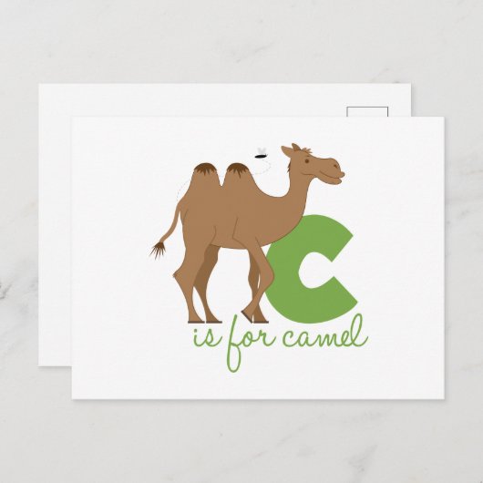 C is voor kameel briefkaart (Voorkant / Achterkant)