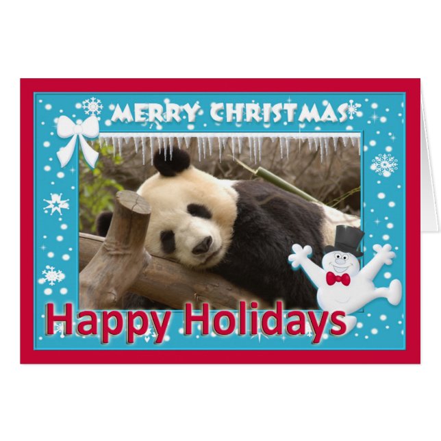 c-panda-278-s (Devant horizontal)