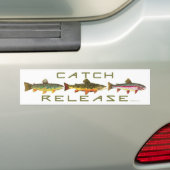C & R - forel Bumpersticker (Op auto)