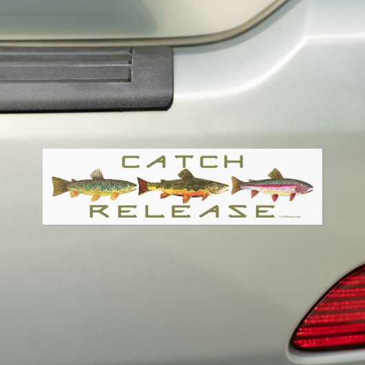 C & R - forel Bumpersticker (Op auto)