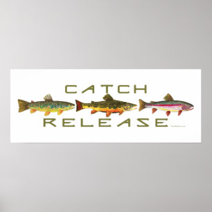 . C & R - forel Poster