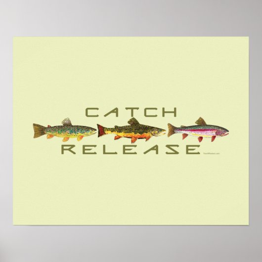 . C & R - forel Poster (Voorkant)