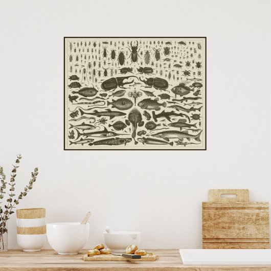 C R I T T E R S POSTER (Keuken)