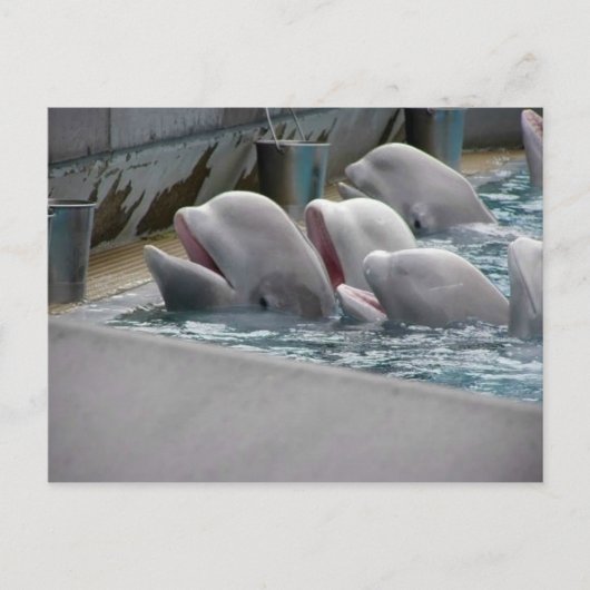 CA81WX4Z BRIEFKAART (Voorkant)