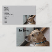 CA cartes de visite se reposants d'animal familier (Devant / Derrière)