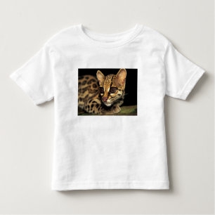 CA, Central Panama, Soberania NP, Margay 2 Kinder Shirts