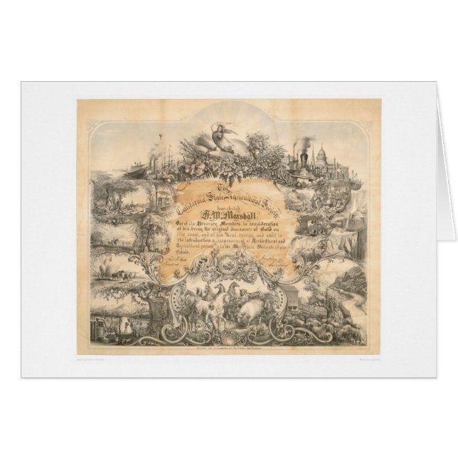 CA Certificat agricole de société (0058A) (Devant horizontal)