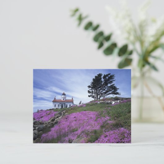 CA, Crescent City, Battery Point vuurtoren met Briefkaart (Staand voorkant)