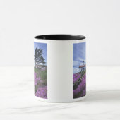 CA, Crescent City, Battery Point vuurtoren met Mok (Midden)