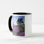 CA, Crescent City, Battery Point vuurtoren met Mok (Voorkant links)