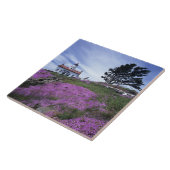 CA, Crescent City, Battery Point vuurtoren met Tegeltje (Zijkant)