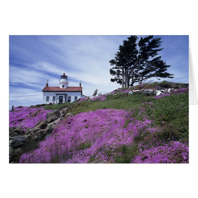 CA, Crescent City, phare de Battery Point avec (Devant horizontal)