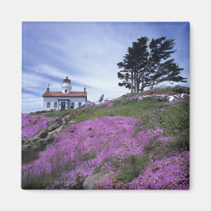 CA, Crescent City, vuurtoren Battery Point met Magneet