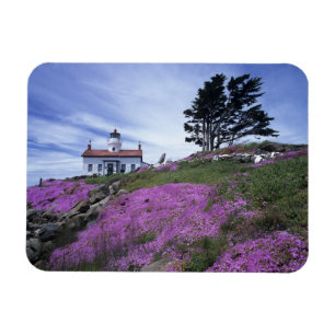CA, Crescent City, vuurtoren Battery Point met Magneet