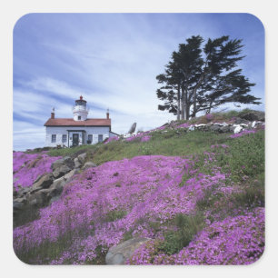 CA, Crescent City, vuurtoren Battery Point met Vierkante Sticker