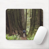 CA, Jedediah Smith Redwood State Park Muismat (Met muis)