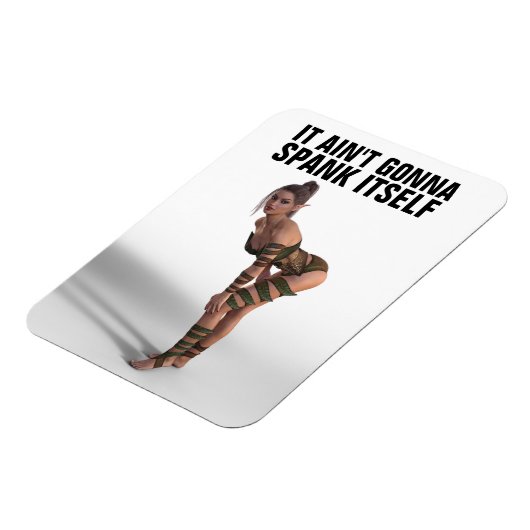 ÇA NE VA PAS SE PASSER DES MAGNETS (Côté Gauche)