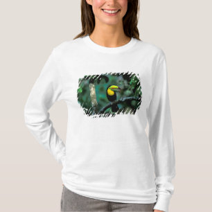 CA, Panama, Soberania NP, Keelsnaveltoekan T-shirt