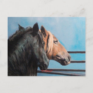 Caballos/Cabalos/Paarden Briefkaart