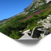 Cabane dans la vallée des Cinq Étangs, Poster de T (Coin)