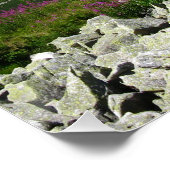 Cabane dans la vallée des Cinq Étangs, Poster de T (Coin)