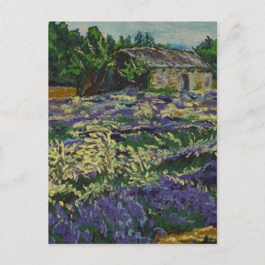 Cabanon dans la lavande briefkaart (Voorkant)