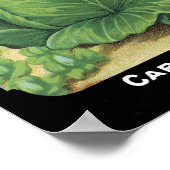 Cabbage Card Seed Co. pakket  Fredonia Poster (Hoek)