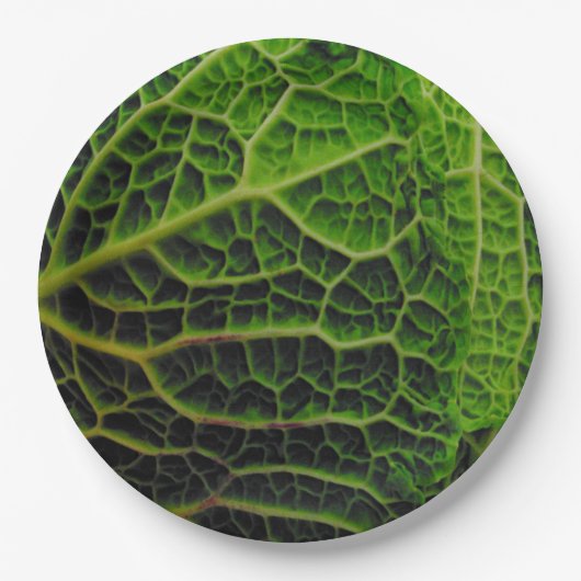 CABBAGE PAPIEREN BORDJE (Voorkant)