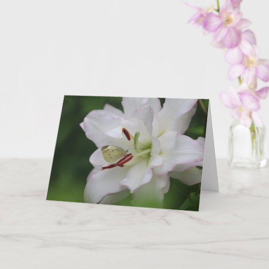 Cabbage White Butterfly on Lily Photo Blank Card Kaart (Orchidee)