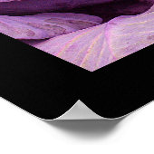 Cabbages rouges. Poster par cARTerART (Coin)