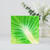 Cabbout Leaf (Staand voorkant)