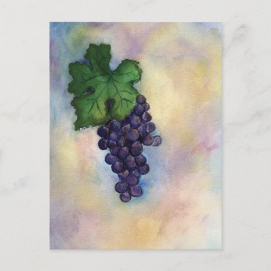 Cabernet Sauvignon Red Wine Grapes Briefkaart (Voorkant)