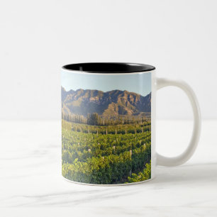 Cabernet Sauvignon wijnstokken in Huailai Rongchen Tweekleurige Koffiemok