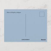 Cabin Houghton Michigan Briefkaart (Achterkant)