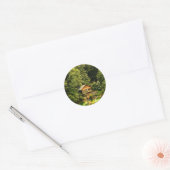 Cabin Lake House Ronde Sticker (Envelop)