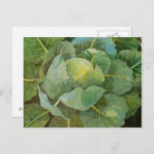 Cabine Briefkaart (Voorkant / Achterkant)