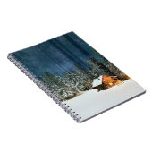 Cabine de journal (Côté Droit)