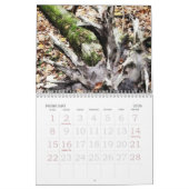 Cabine in de bossen kalender (Feb 2026)