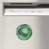 Cabine Magneet (Insitu (Vaatwasser))