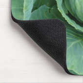 Cabine Muismat (Hoek)