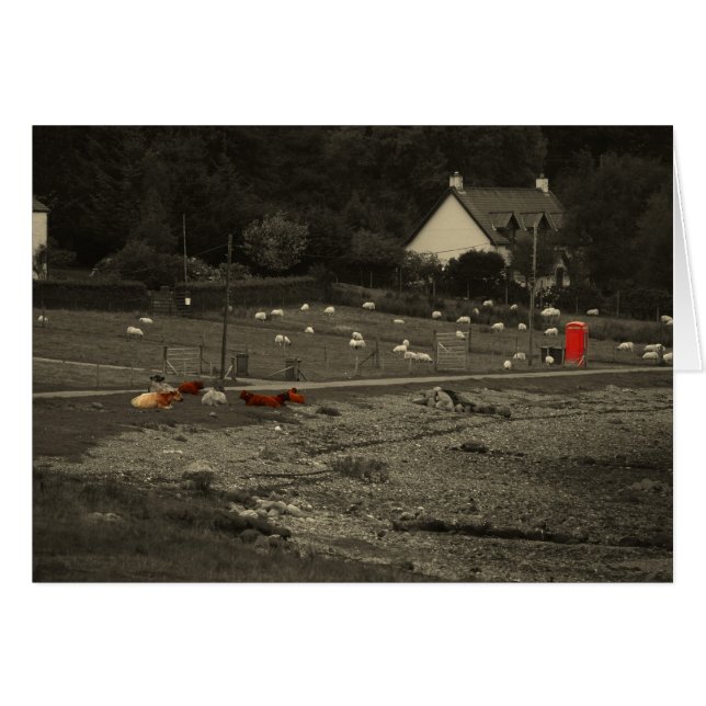 cabine téléphonique (Devant Horizontal)